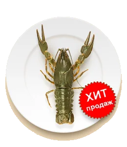 Рак оптом №3 1кг
